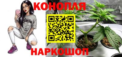 амф Коммунар